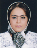 L.Salimi